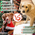 Load image into Gallery viewer, Safe dog chew rope toy set