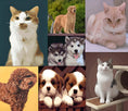 Load image into Gallery viewer, Customized DIY Paint by Numbers Kit
