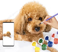 Load image into Gallery viewer, Customized DIY Paint by Numbers Kit
