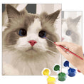 Load image into Gallery viewer, Customized DIY Paint by Numbers Kit

