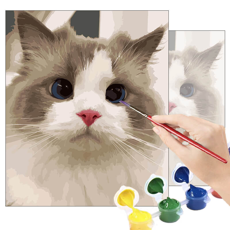 Customized DIY Paint by Numbers Kit