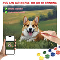 Load image into Gallery viewer, Customized DIY Paint by Numbers Kit
