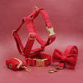 Load image into Gallery viewer, Multiple colour velvet personalised dog collar accessories
