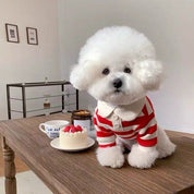 Classic Striped Dog Polo Shirt