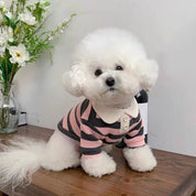 Classic Striped Dog Polo Shirt