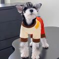Load image into Gallery viewer, Four legged Suspender Pants With Leash Clip
