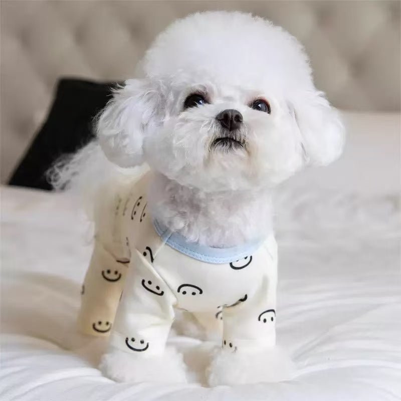 Four-legged pet clothing protecting the belly