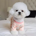Load image into Gallery viewer, Four-legged pet clothing protecting the belly
