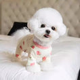 Load image into Gallery viewer, Four-legged pet clothing protecting the belly
