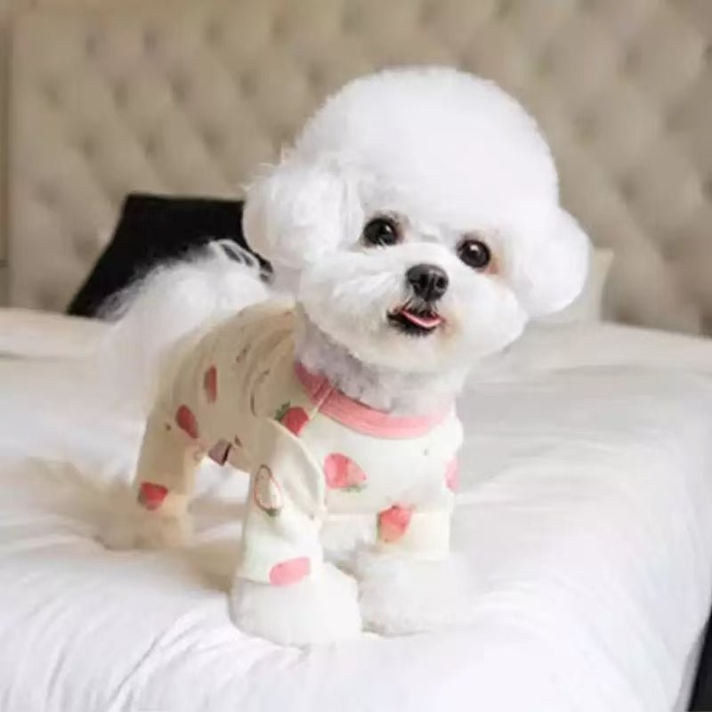 Four-legged pet clothing protecting the belly