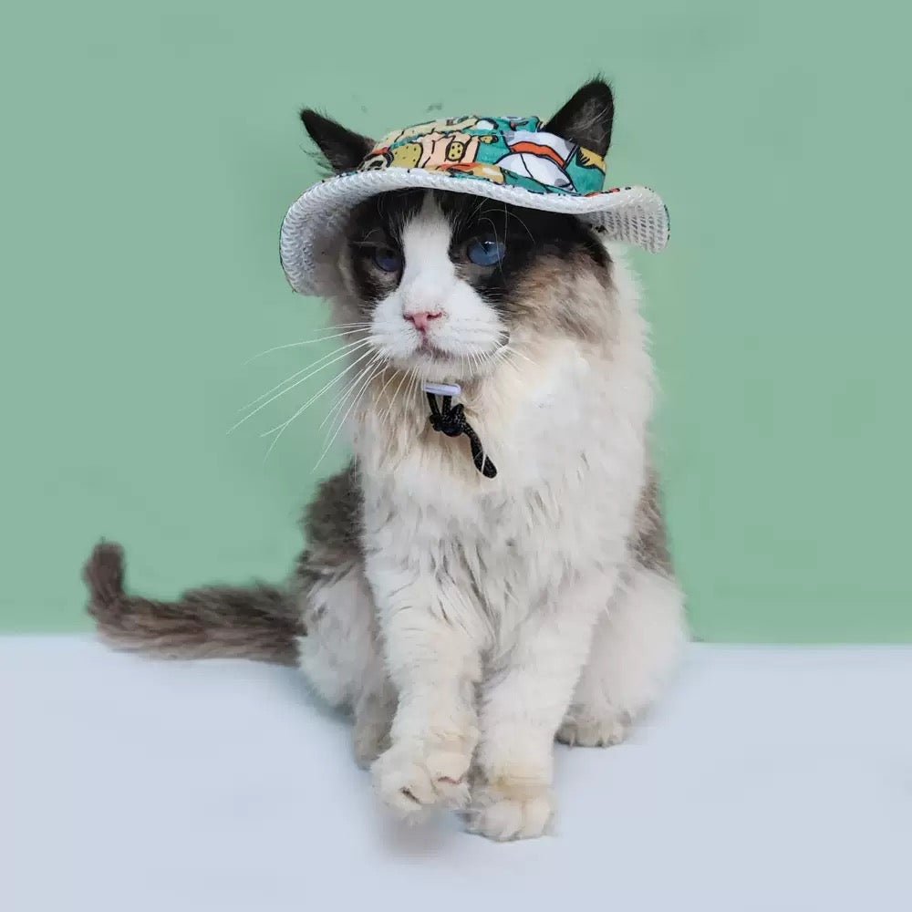 Pet finsherman hat