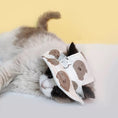 Load image into Gallery viewer, Pet finsherman hat
