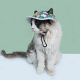 Load image into Gallery viewer, Pet finsherman hat
