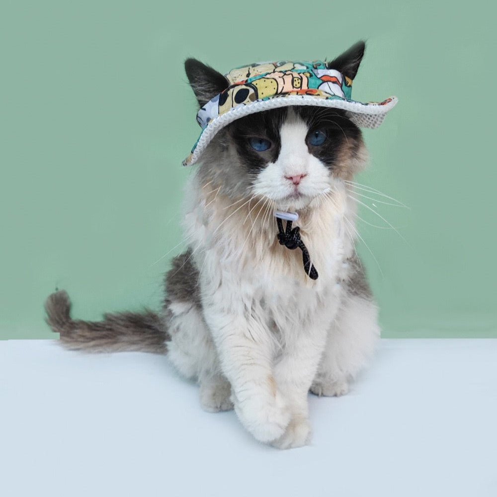 Pet finsherman hat