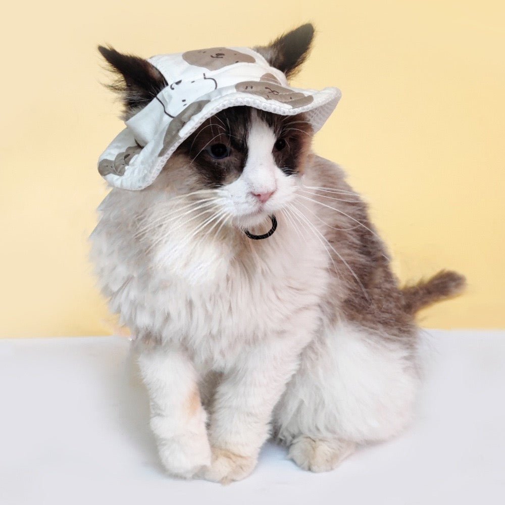 Pet finsherman hat