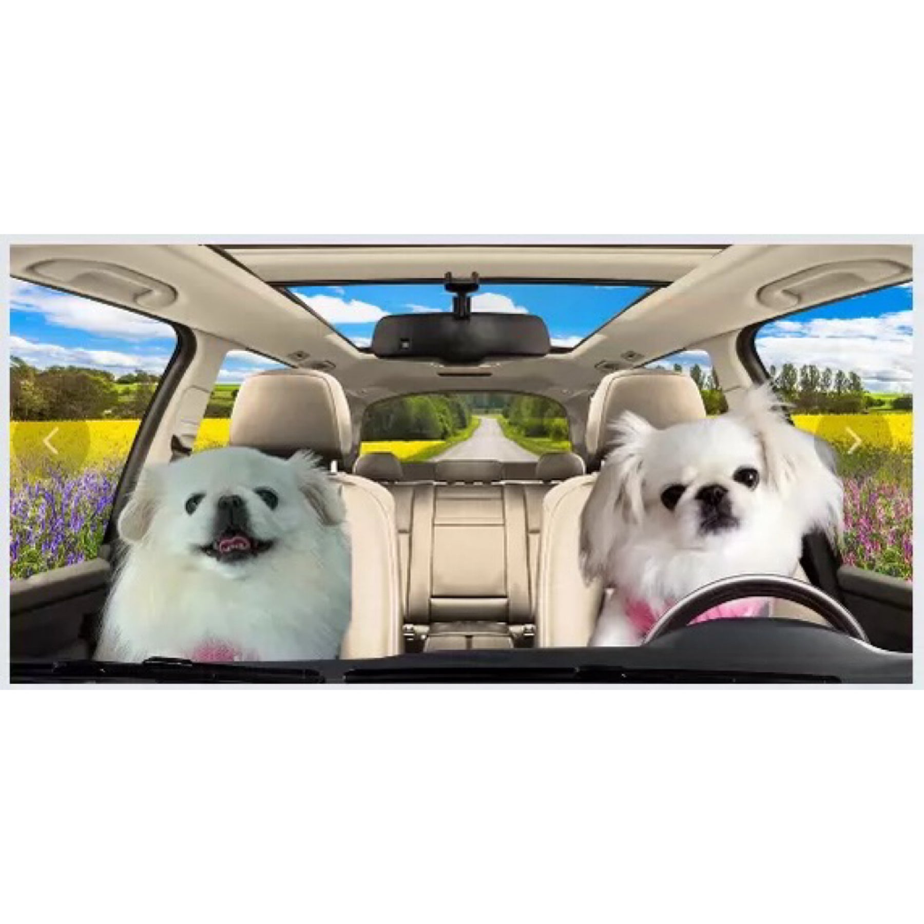 Personalized Cats or Dogs Auto Sunshade For Pet Lovers