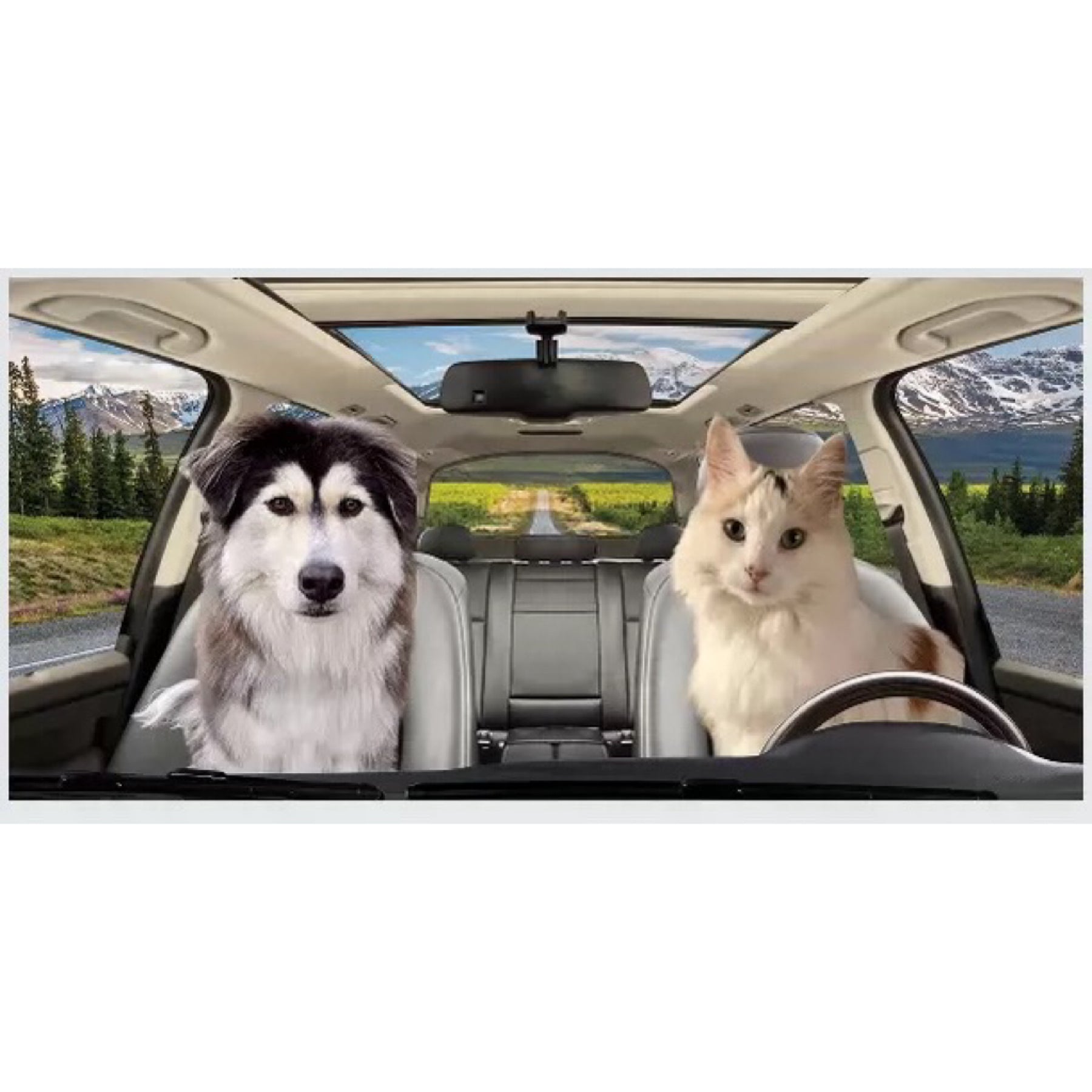 Personalized Cats or Dogs Auto Sunshade For Pet Lovers