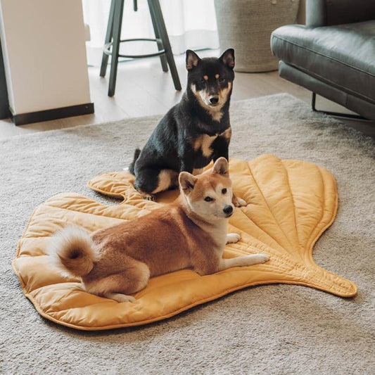 Leaf-Shaped Washable Dog Mat