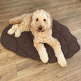 Load image into Gallery viewer, Leaf-Shaped Washable Dog Mat
