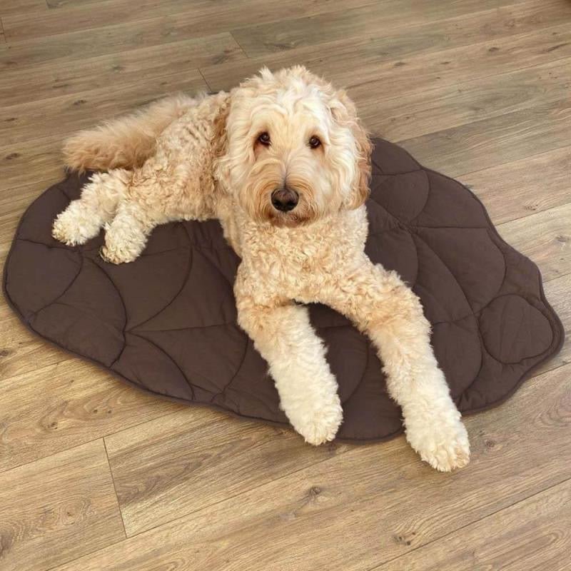 Leaf-Shaped Washable Dog Mat