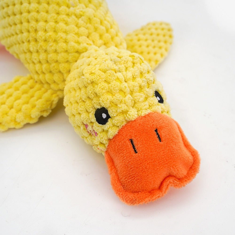 Dog Calming Duck