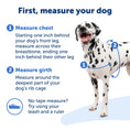 Load image into Gallery viewer, Easy Walk No-Pull Dog Harness
