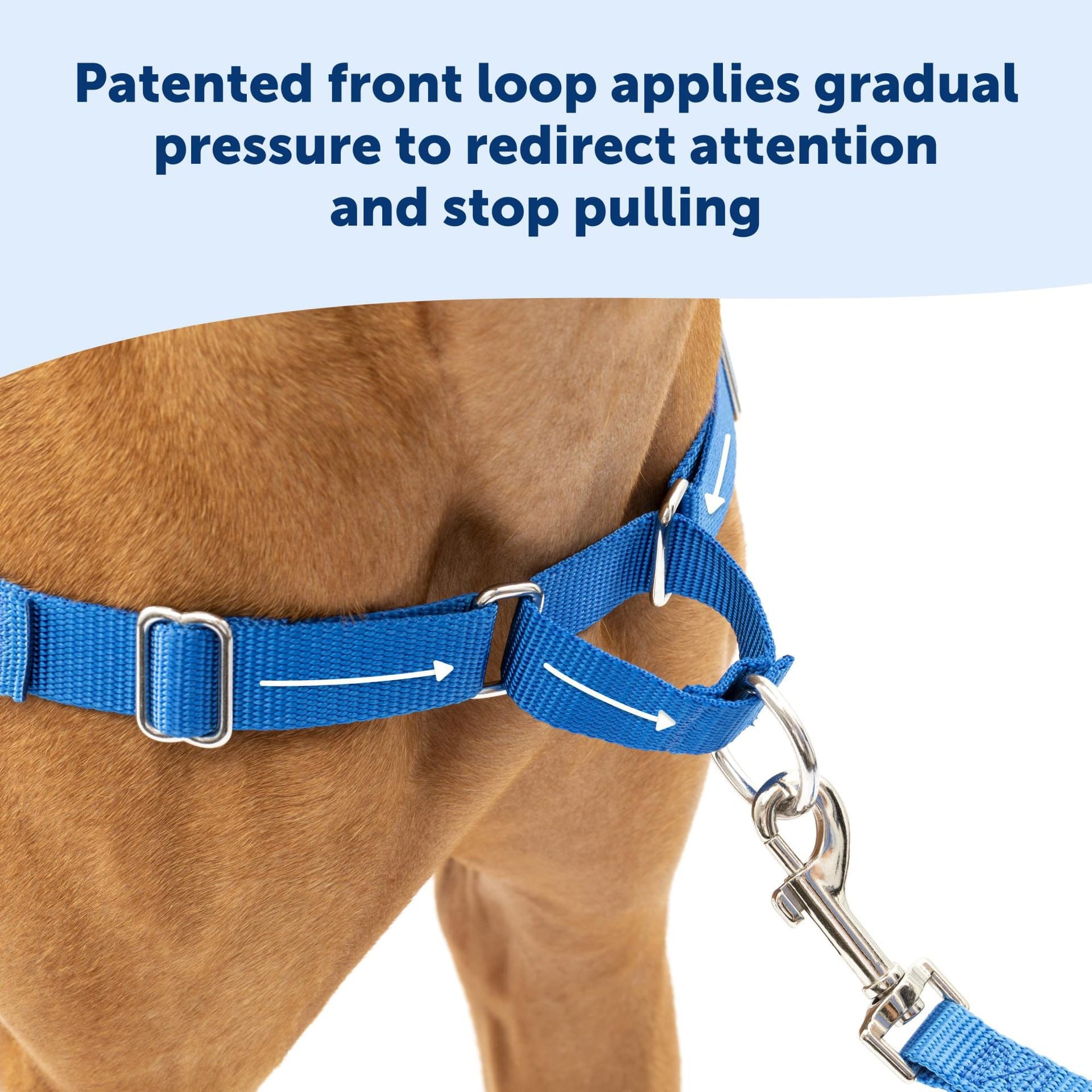 Easy Walk No-Pull Dog Harness
