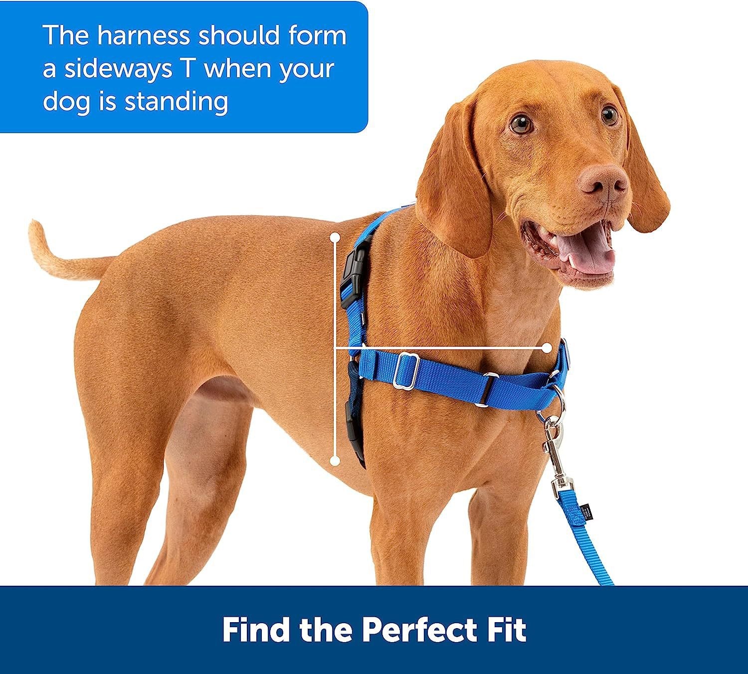 Easy Walk No-Pull Dog Harness
