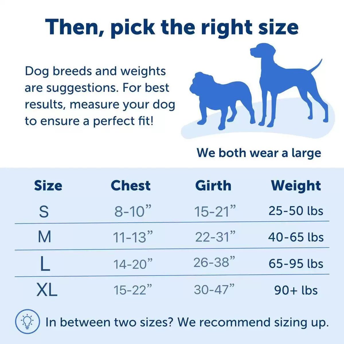 Easy Walk No-Pull Dog Harness