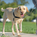 Load image into Gallery viewer, Easy Walk No-Pull Dog Harness
