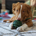Load image into Gallery viewer, Long Lasting Refillable Dog Treat Dispenser Toy
