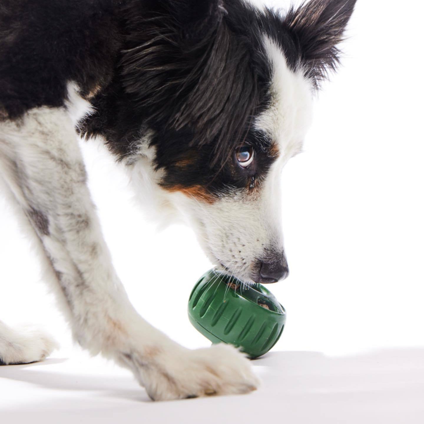 Long Lasting Refillable Dog Treat Dispenser Toy