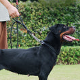 Load image into Gallery viewer, Control Safety leash and collar set
