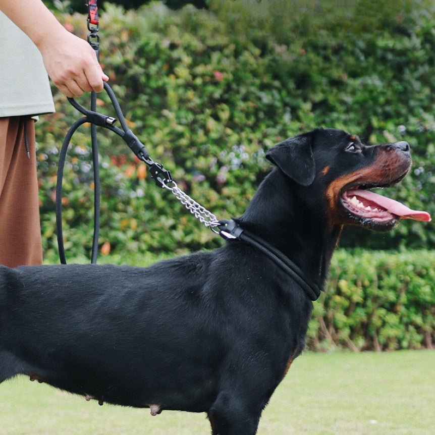 Control Safety leash and collar set