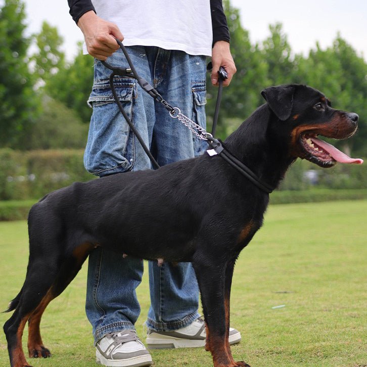 Control Safety leash and collar set