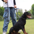 Load image into Gallery viewer, Control Safety leash and collar set
