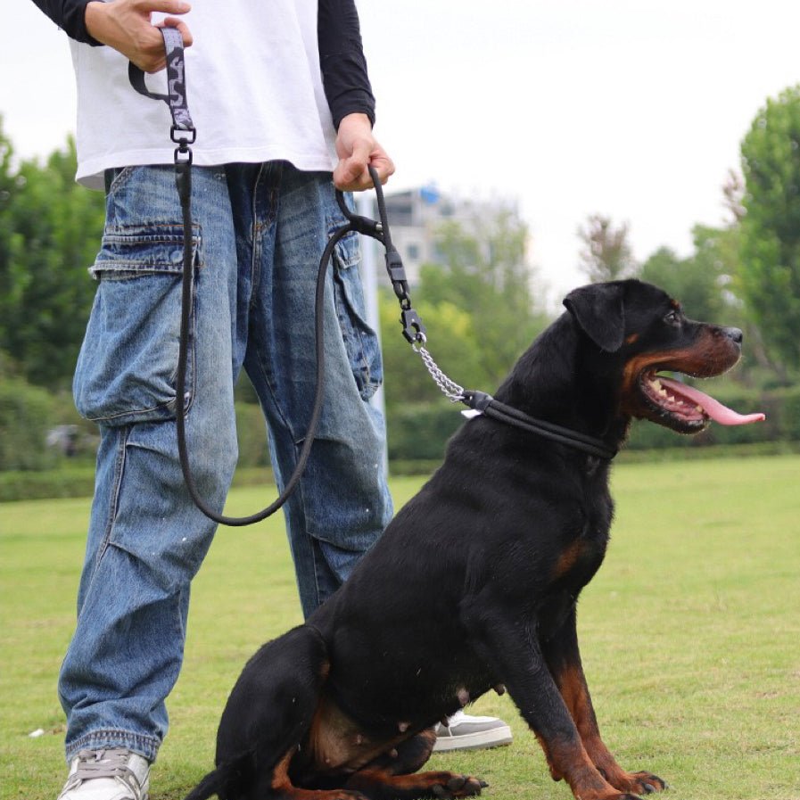 Control Safety leash and collar set