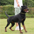 Load image into Gallery viewer, Control Safety leash and collar set
