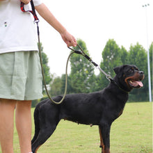 Control Safety leash and collar set