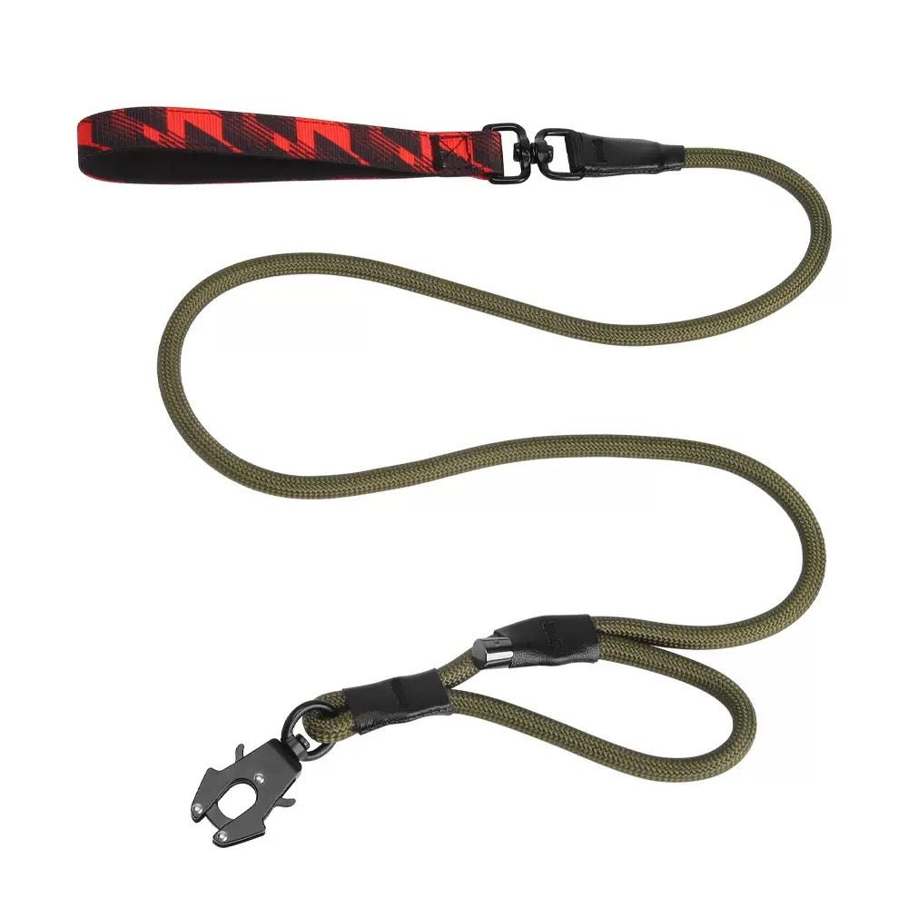 Control Safety leash and collar set