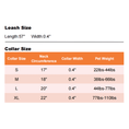 Load image into Gallery viewer, Control Safety leash and collar set
