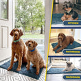 Load image into Gallery viewer, Soft Chenille Pet Rug

