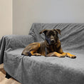 Load image into Gallery viewer, Washable dog pee pad
