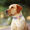 Load image into Gallery viewer, Flower Dog Collar & Leash Set
