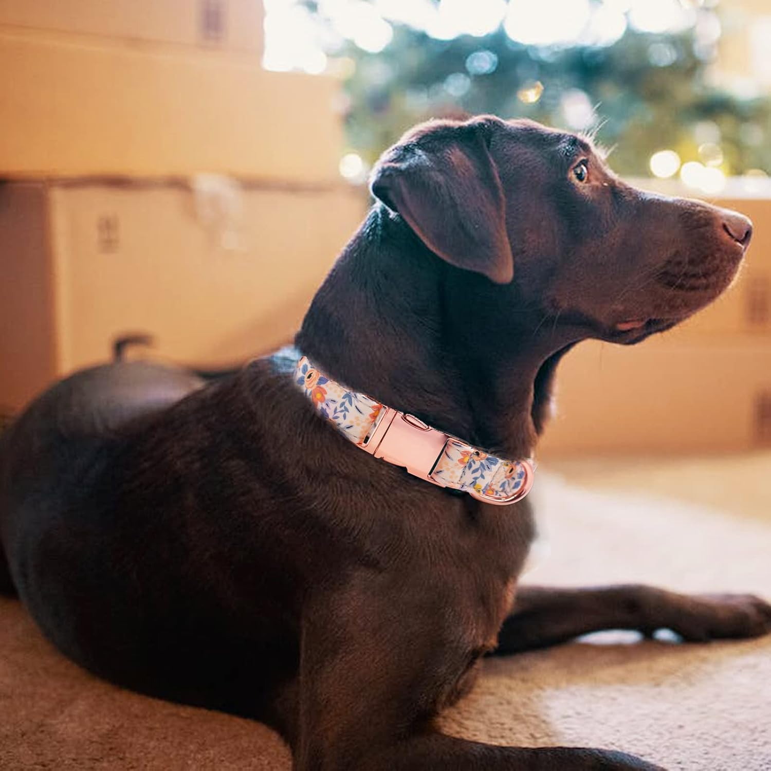 Flower Dog Collar & Leash Set