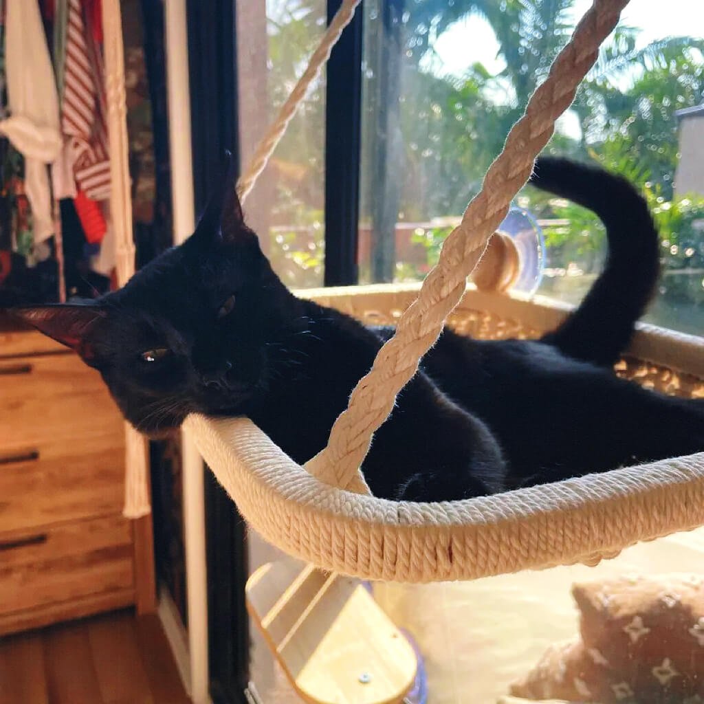 Traditional Hand Woven - Comfy Cat Window Perch