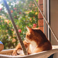 Load image into Gallery viewer, Traditional Hand Woven - Comfy Cat Window Perch
