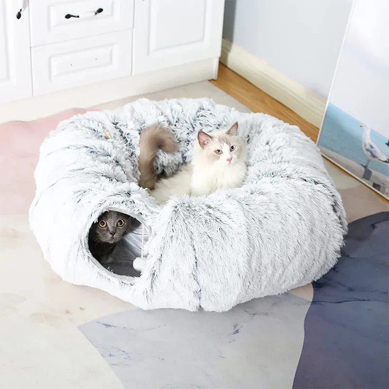 Cat Tunnel Bed with Central Mat video review preview