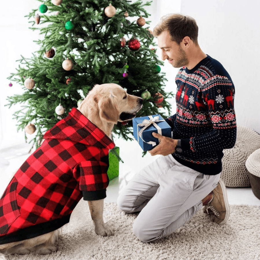 Dog Hoodie Sweater video review preview