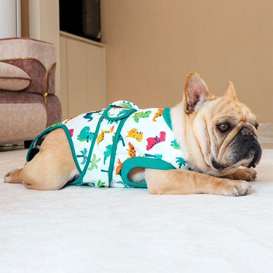 Dog Recovery Suit video review preview